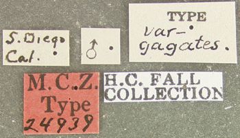 Media type: image;   Entomology 24939 Aspect: labels